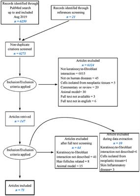 Interplay Between Keratinocytes and Fibroblasts: A Systematic Review Providing a New Angle for Understanding Skin Fibrotic Disorders